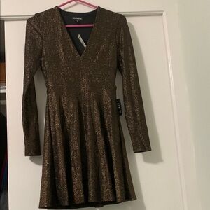 Express Shimmering Bronze Dress